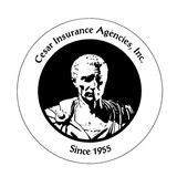 Bernard A Cesar Inc - Insurance in Buffalo