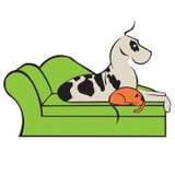 Creature Comforts Pet Resort - Other in Angola