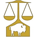 Nesper Ferber & DiGiacomo, LLP - Solicitors & Lawyers in Buffalo