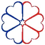 Gericare Pharmaceuticals - Wholesale in New York