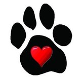 2nd Chances Humane Society - Other in Jamestown