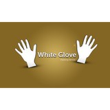 White Glove Cleaning Service LLC - Carpet Cleaning in New York