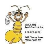All Right Pest Control - Pest Control in New York