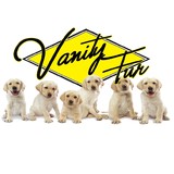 Vanity Furs - Other in Tannersville