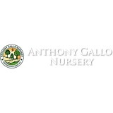 Anthony Gallo Landscaping & Nursery - Other in New York