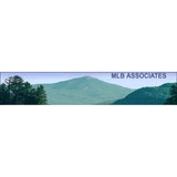 Mlb Associates - Other in Lake Placid