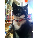 Pet Supplies on 9 - Pet Stores in New York