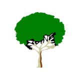 All Around Landscp & Tree Service - Tree Services in Rochester