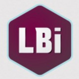 LBi Software - Software Development in Woodbury