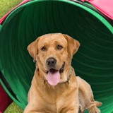 Nti Global Inc - Manufacturer in Amsterdam