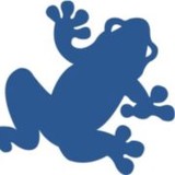 Blue Frog Internet, Inc. - Internet Service Providers in Rochester