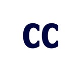 Champion Chimney Inc - Fireplaces & Stoves in Oceanside
