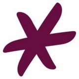 Literacy Volunteers-Rochester - Private Tutors in Rochester