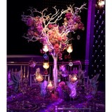 Successful Affairs - Party & Event Planning in New York