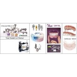 Rtg Dental Lab - Dental Technicians/Dentures/Implants in Rochester