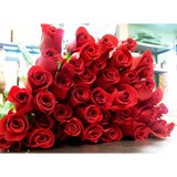 Mormile Florist - Florists in Rockville Centre