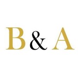 Borrelli & Assoc - Other in Carle Place