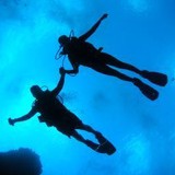 Scuba Network - Other in Carle Place