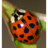 Select Exterminating - Pest Control in New Hyde Park