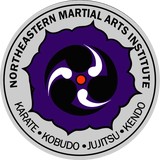 Northeastern Martial Arts - Martial Arts in Rochester