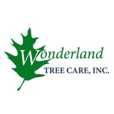 Wonderland Tree Care, Inc - Other in Oyster Bay