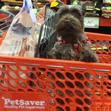 Pet Saver Superstore - Fences & Gates in Rochester
