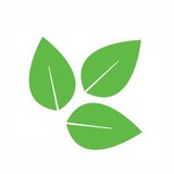 Inwood Academy For Leadership Charter School - Special Education in New York