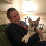 New York Department Of Labor - Other in Amsterdam