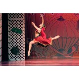 Integral Ballet School - Other in Merrick