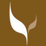 Hand & Upper Extremity Rehab - Rehabilitation Center in Rochester