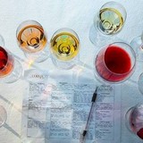 Corkbuzz Wine Studio - Wine Bars in New York