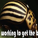 RCD Exterminating - Pest Control in Rochester