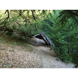 Bodhi Tree Yoga - Yoga in Rochester