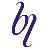 Benefit Link LLC - Business Consulting in Rochester