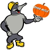 A Dyna Mole - Plumbing in Rochester