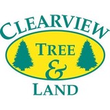 Brooklyn Tree Service - Tree Services in Westbury