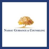 Nassau Guidance-Counseling Center - Other in Bellmore
