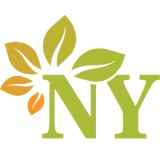 New York Physical Medicine Center - Physiotherapy in Rochester