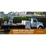 Allstate Tree & Shrub - Other in Hempstead
