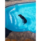 Cavalier Pools - Other in Farmingdale
