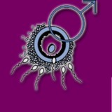 Brooklyn Fertility Center - Obstetricians & Gynecologists/Gynaecology in New York