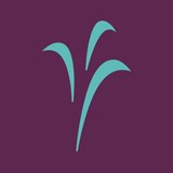 First Investors Corp - Financial Services in Rochester