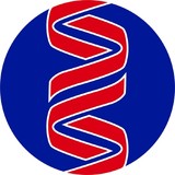 Sunrise Medical Laboratories - Other in Rockville Centre