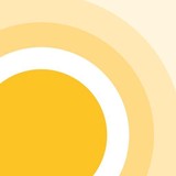 Practis Inc - Business Consulting in Rochester