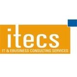 It & Ebusiness Consulting Services Inc - Other in Syosset