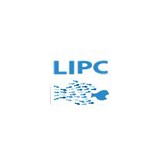 Long Island Progressive - Other in Massapequa