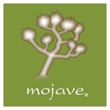 Mojave - Mexican in New York