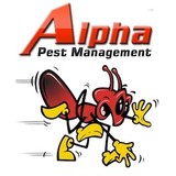 Alpha Pest Management - Pest Control in New York