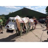 Free Spirit Nature Camp - Other in New York