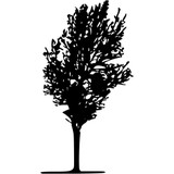 Garrison Tree Inc - Other in New York
